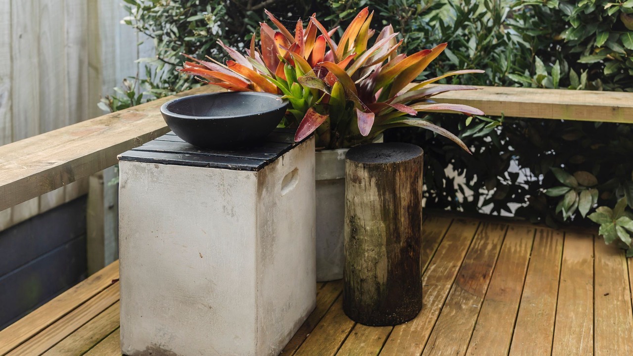 Photo of Outdoor in New Plymouth