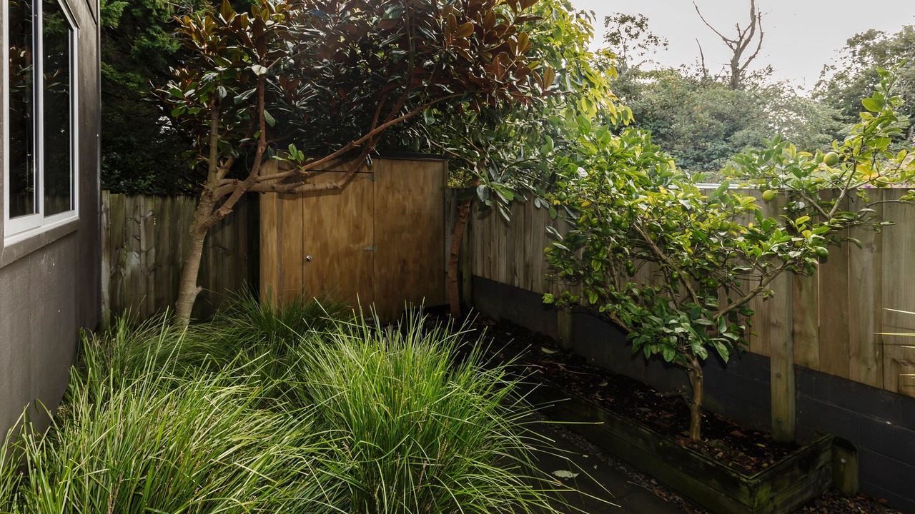 Photo of Outdoor in New Plymouth