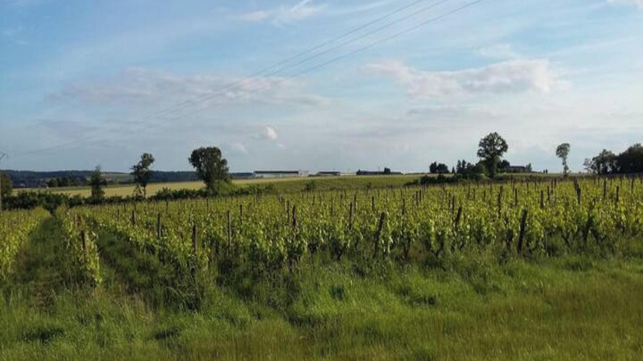 Photo of Others in Civray-de-Touraine