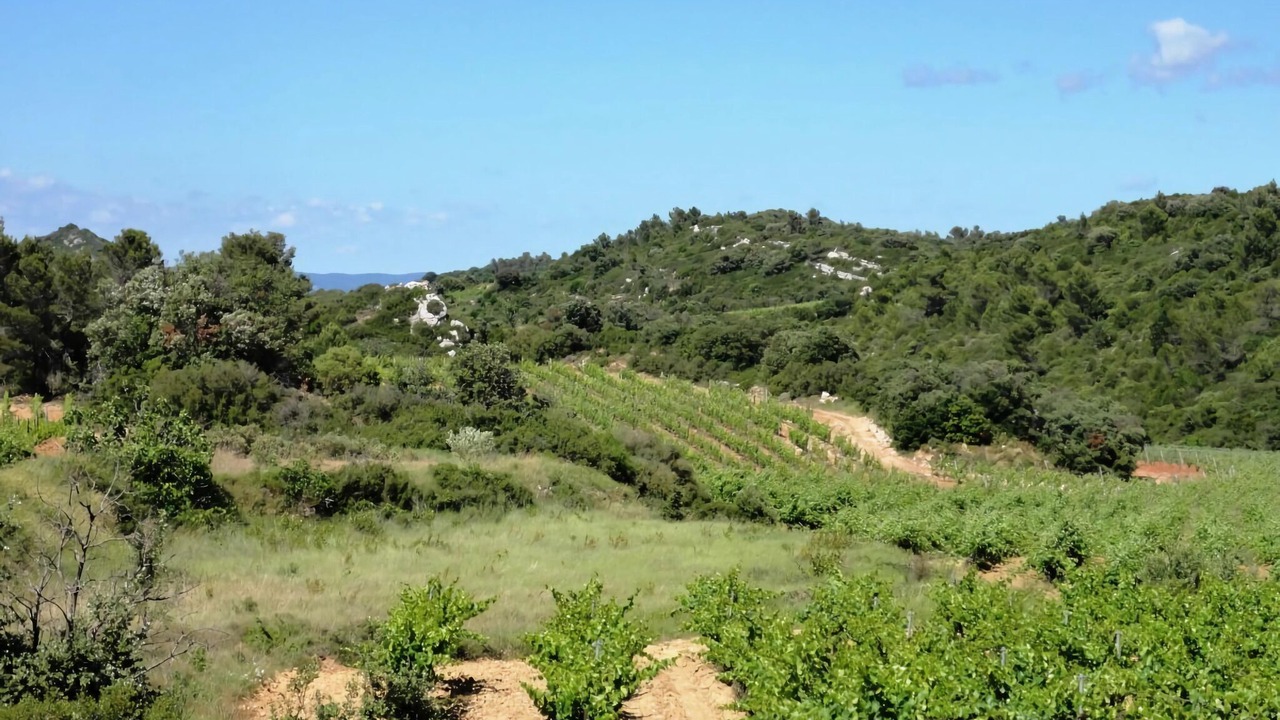 Photo of Others in Assignan