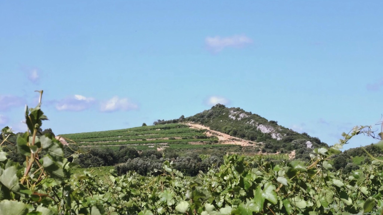 Photo of Others in Assignan