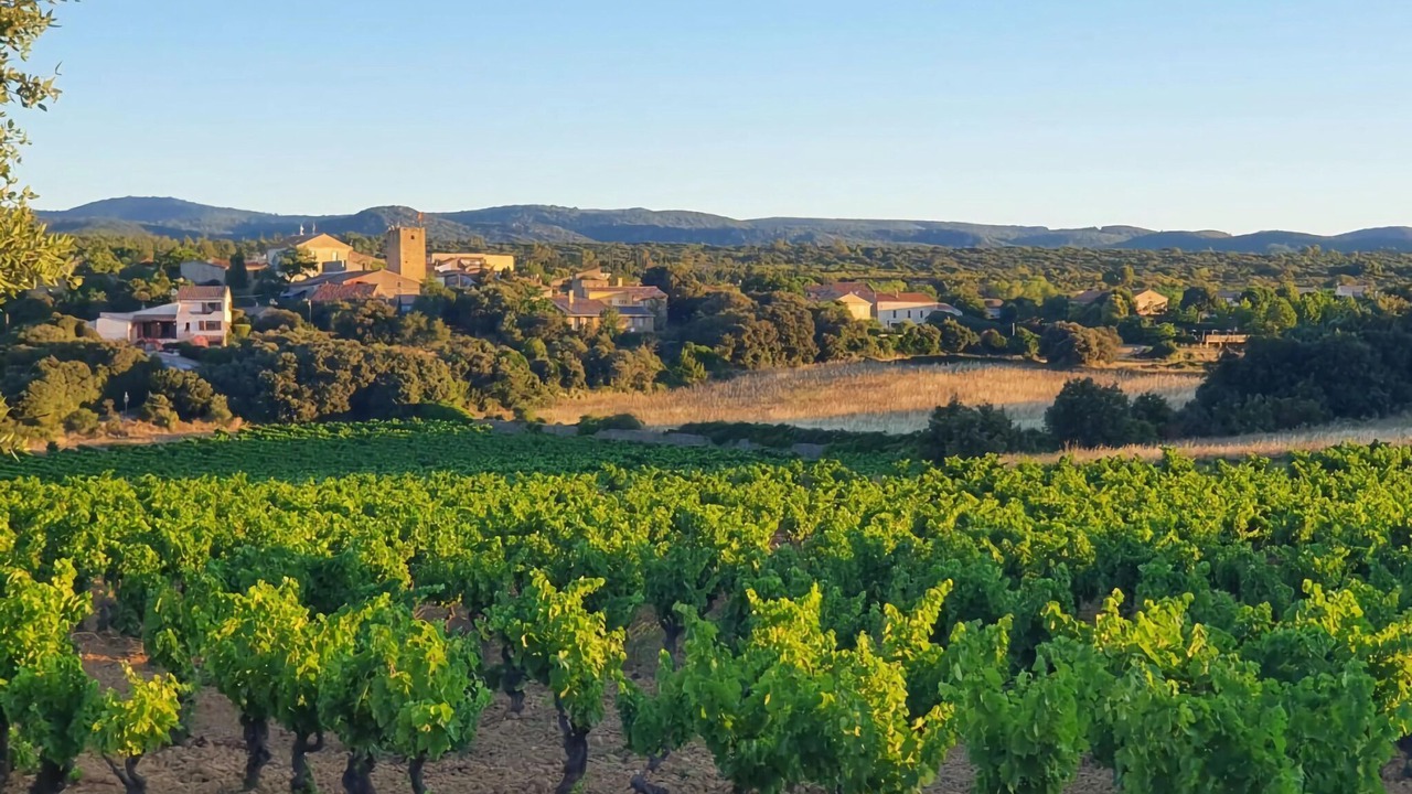 Photo of Others in Assignan