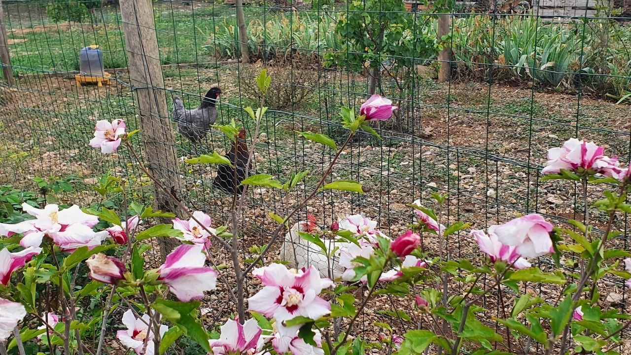 Photo of Outdoor in Assignan