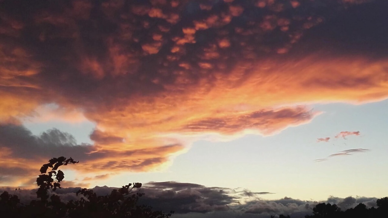 Photo of Others in Assignan