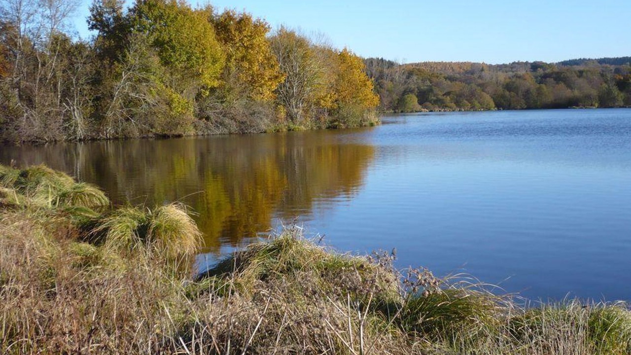 Photo of Outdoor in Saint-Martin-de-la-Mer