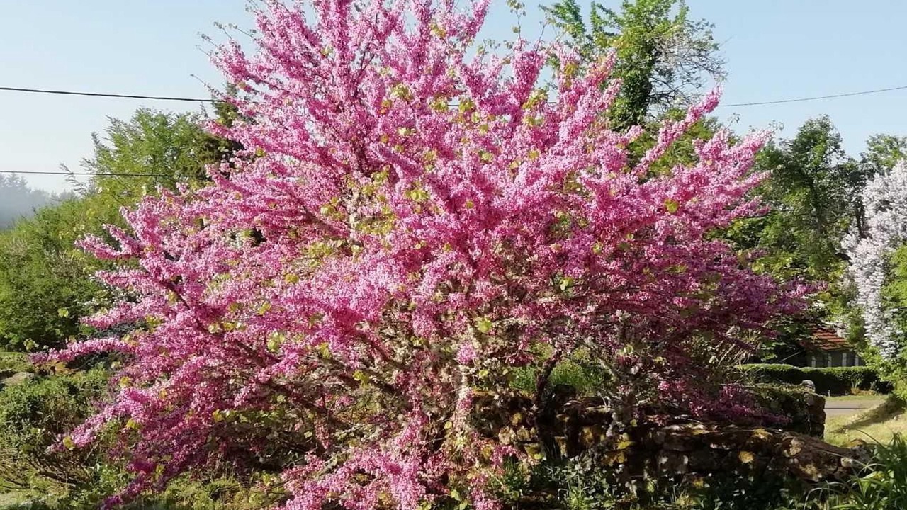 Photo of Outdoor in Saint-Martin-de-la-Mer