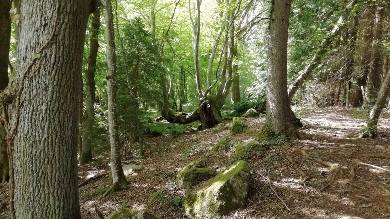 Photo of Outdoor in Saint-Martin-de-la-Mer