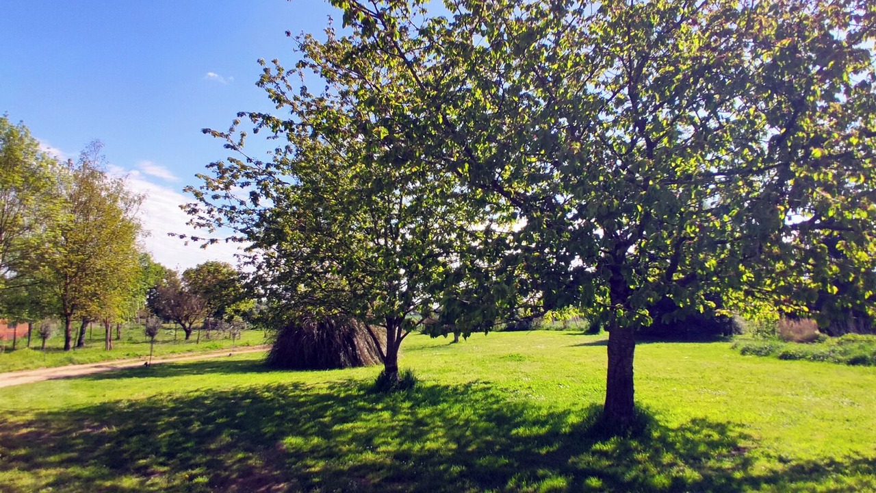 Photo of Outdoor in Fougere