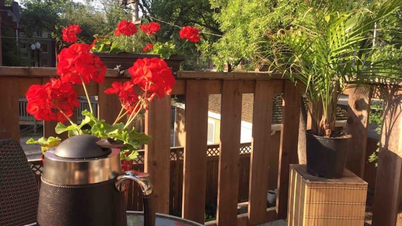 Photo of Outdoor in Winnipeg