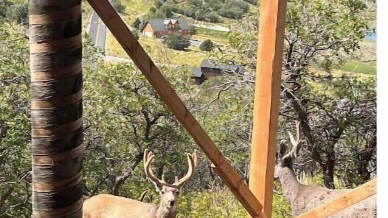 Photo of Outdoor in Timber Lakes