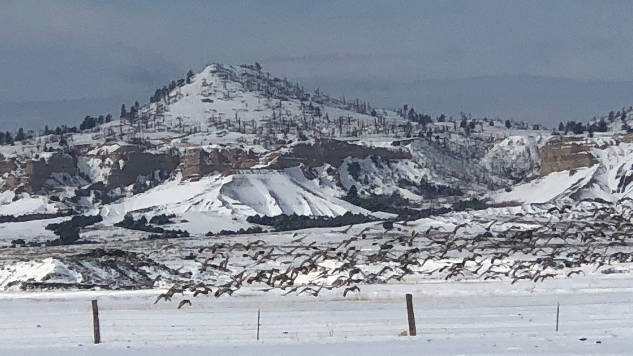 Photo of Others in Sioux County