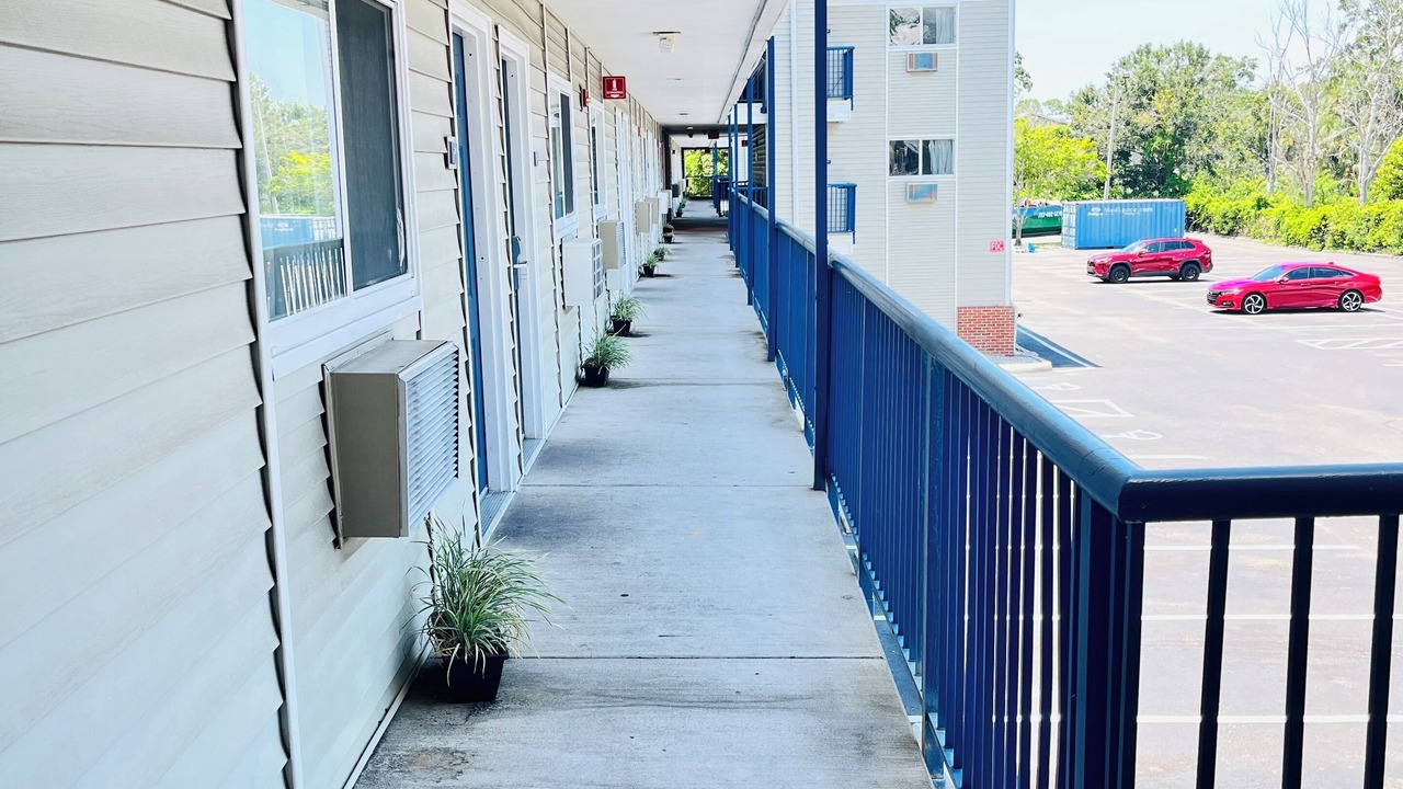 Photo of Outdoor in Tampa