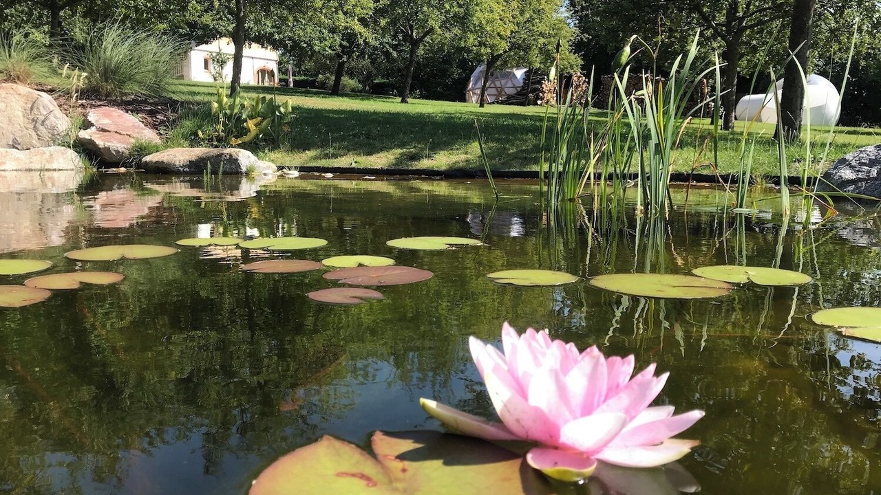 Photo of Outdoor in Cambremer