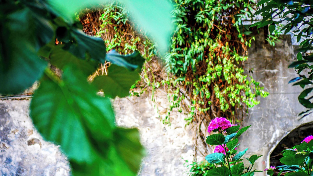 Photo of Outdoor in Annonay