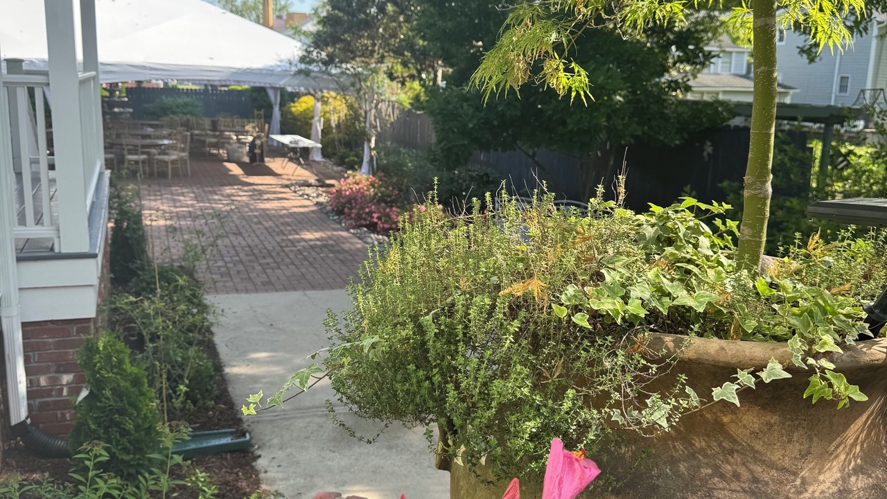 Photo of Outdoor in New Bern