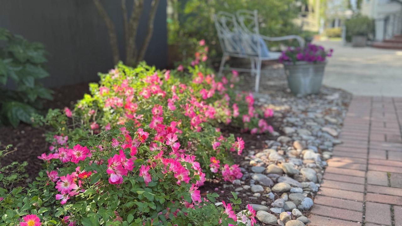 Photo of Outdoor in New Bern