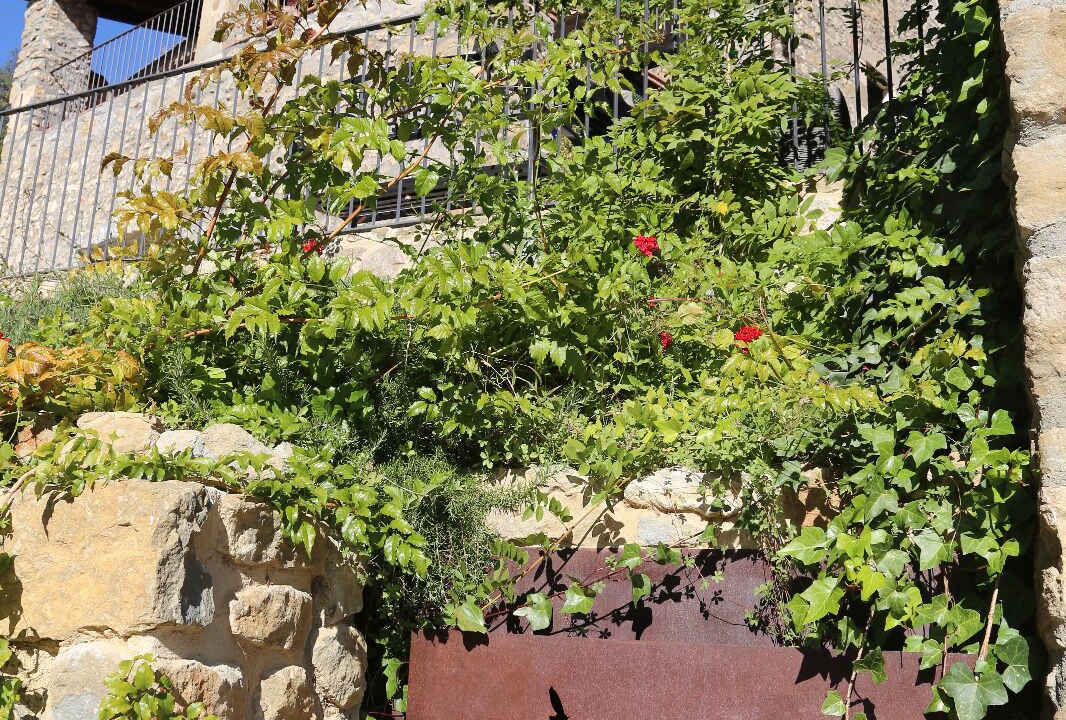 Photo of Outdoor in Sant Feliu de Pallerols