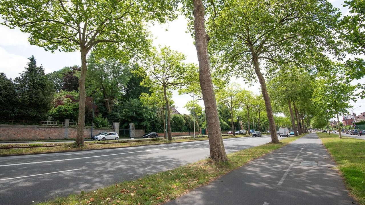 Photo of Outdoor in Croix