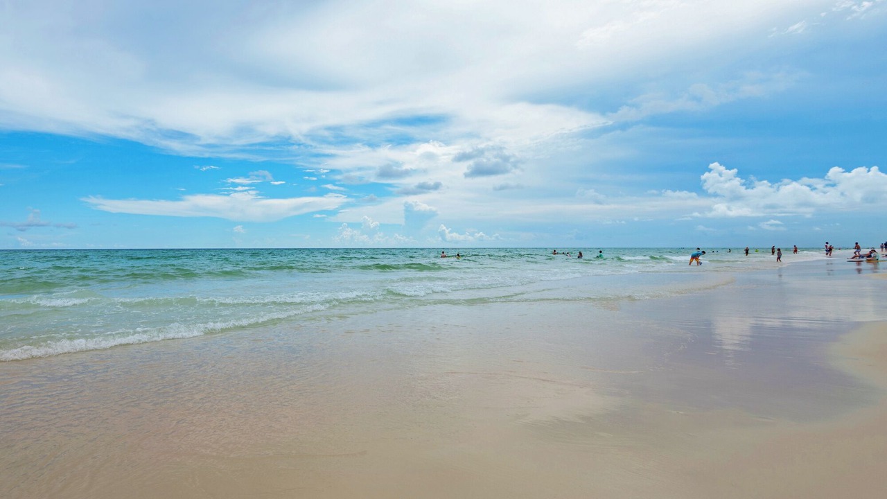 Photo of Others in Seagrove Beach