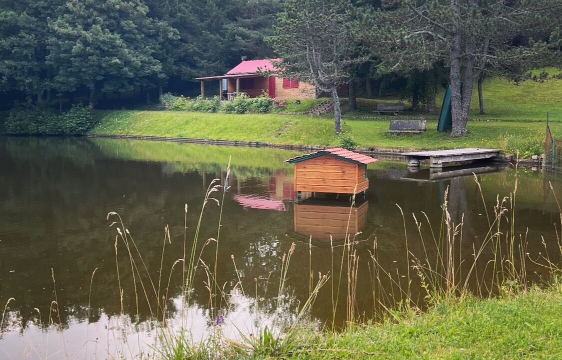 Photo of Outdoor in Manzat