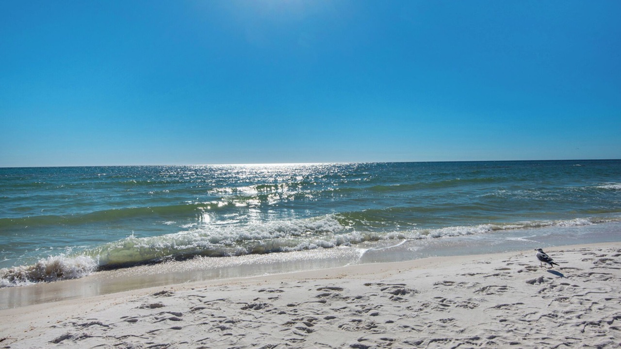 Photo of Others in Rosemary Beach