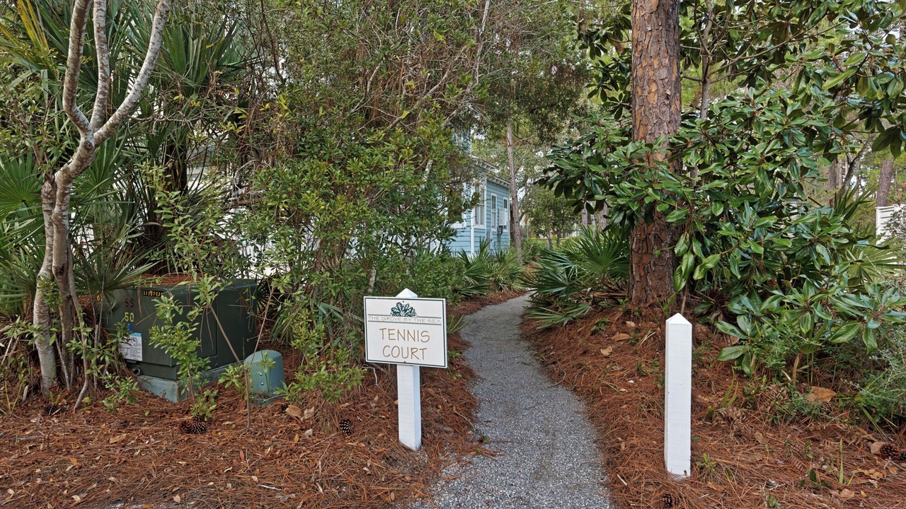Photo of Outdoor in Seagrove Beach