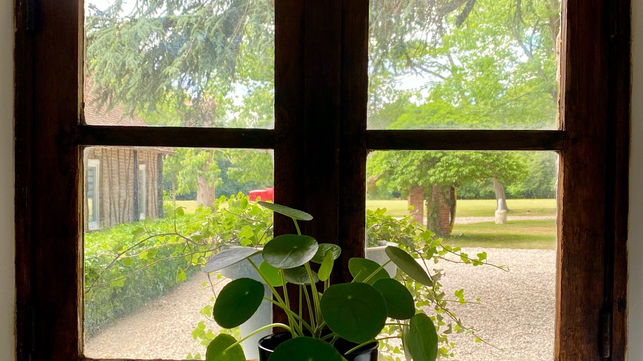 Photo of Outdoor in Pressagny-lʼOrgeuilleux