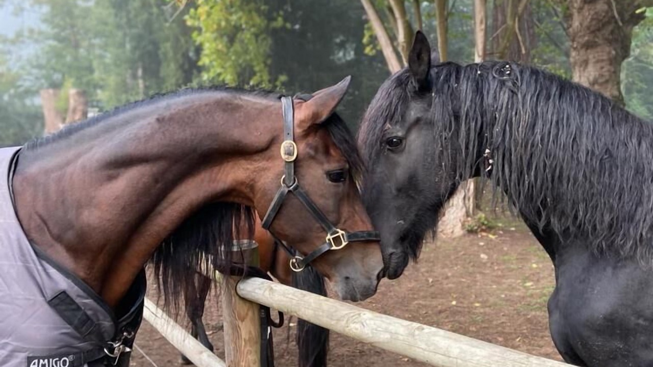 Photo of Outdoor in Pressagny-lʼOrgeuilleux
