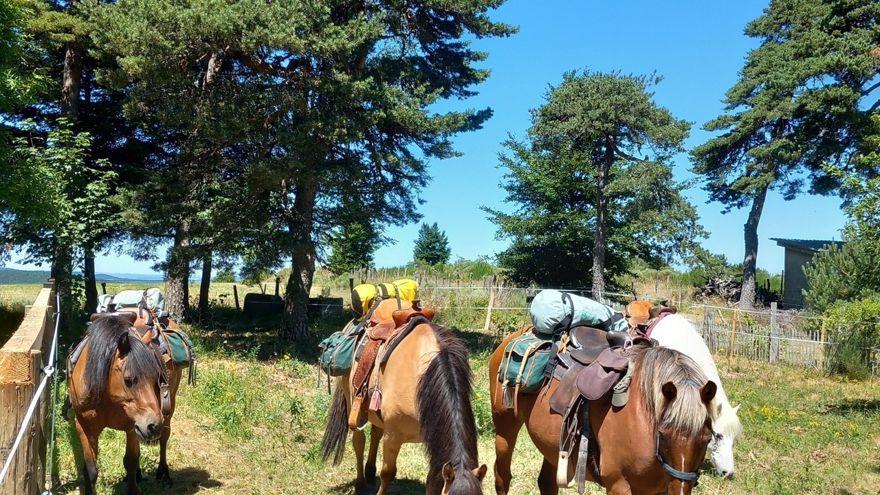 Photo of Others in Cubieres