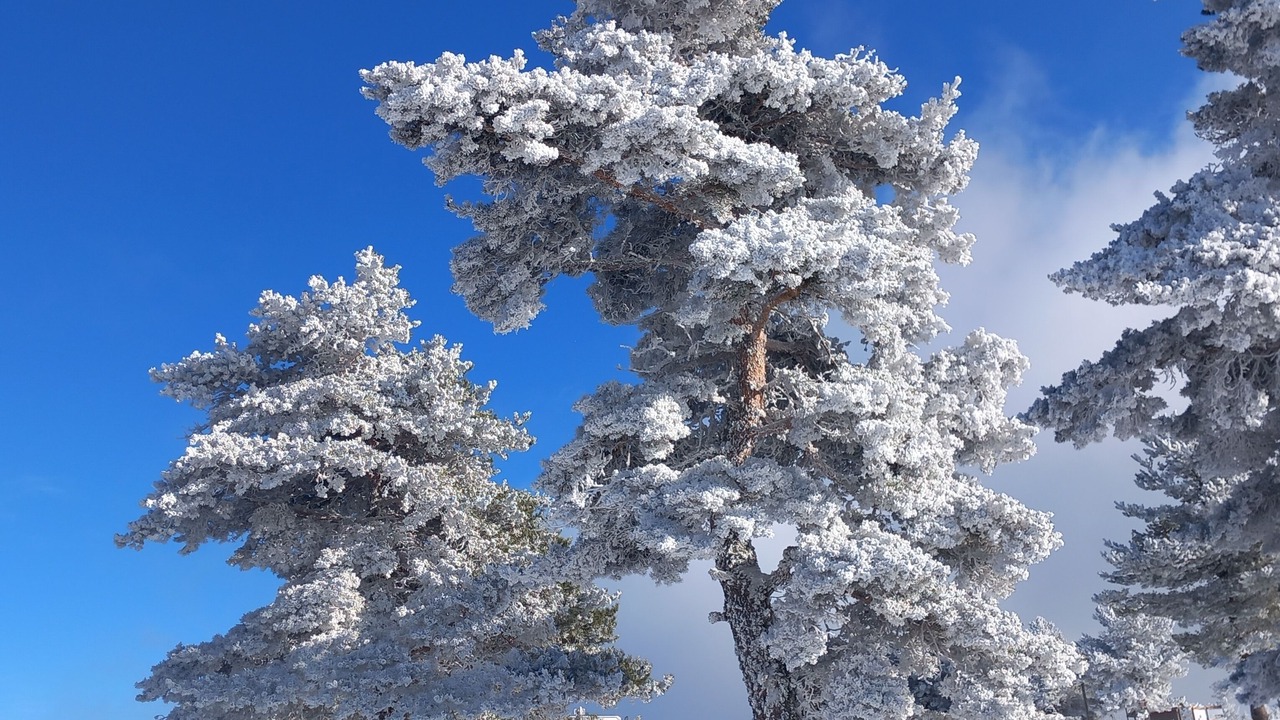 Photo of Others in Cubieres
