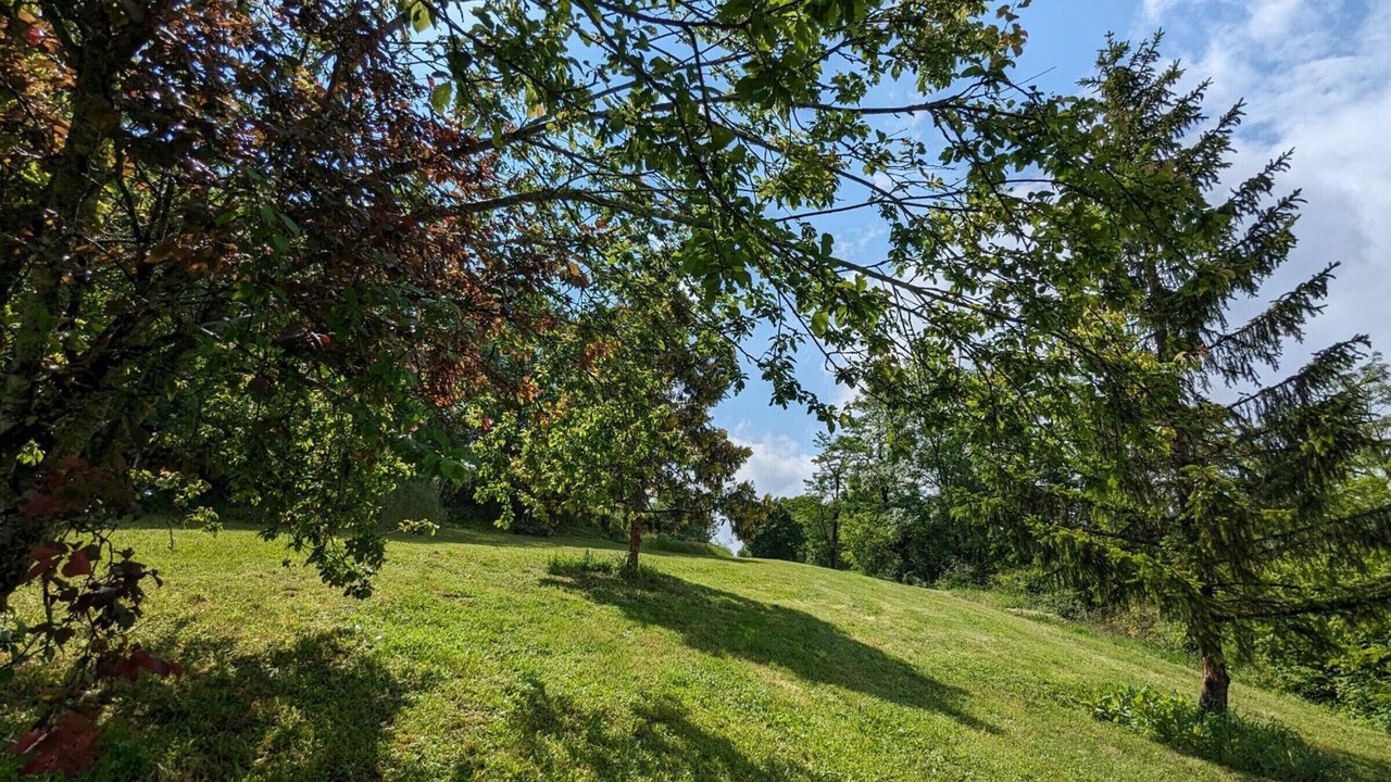 Photo of Outdoor in Chateauneuf-sur-Charente