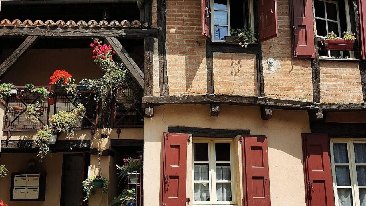 Photo of Others in Albi