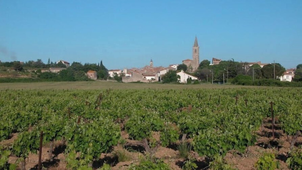 Photo of Others in Maraussan