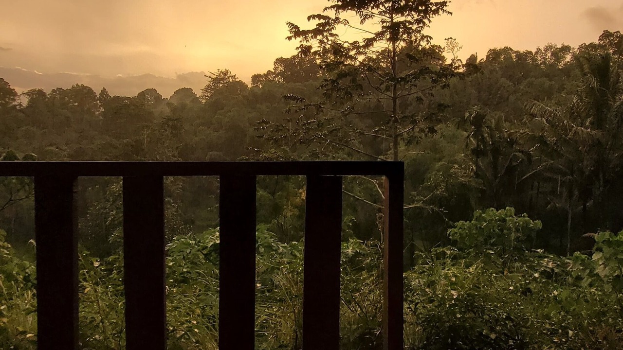 Photo of Others in Tetebatu