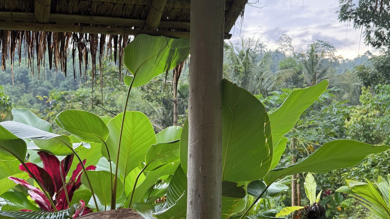 Photo of Outdoor in Tetebatu