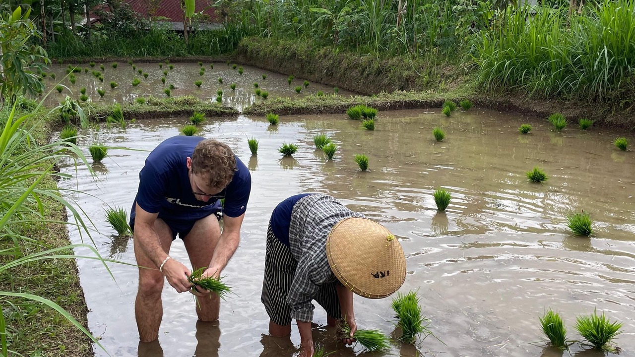 Photo of Others in Tetebatu