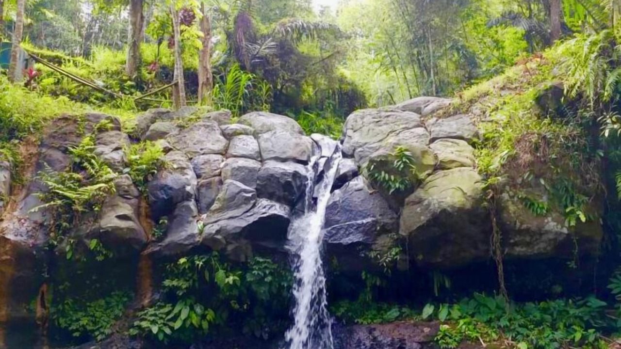 Photo of Others in Tetebatu