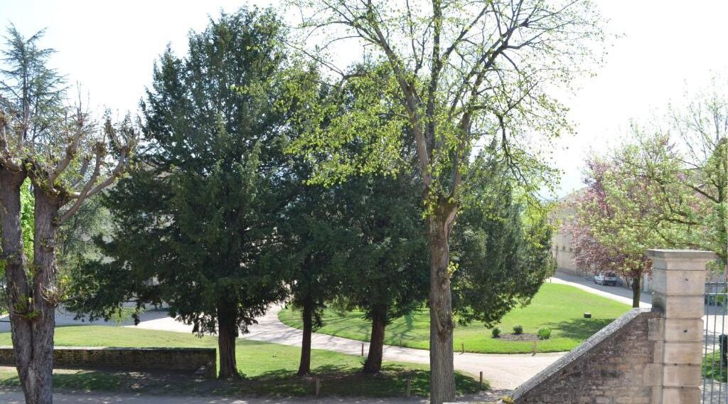 Photo of Outdoor in Cluny