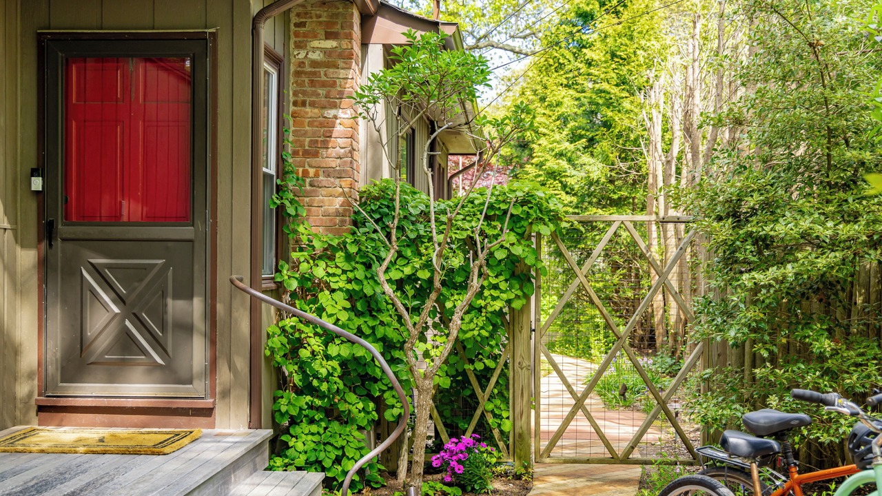 Photo of Outdoor in Springs