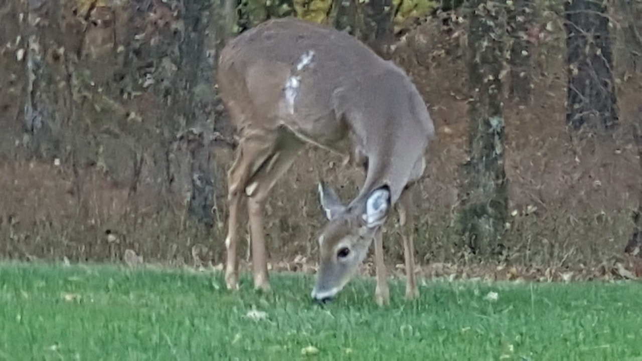 Photo of Others in Reynolds Landing