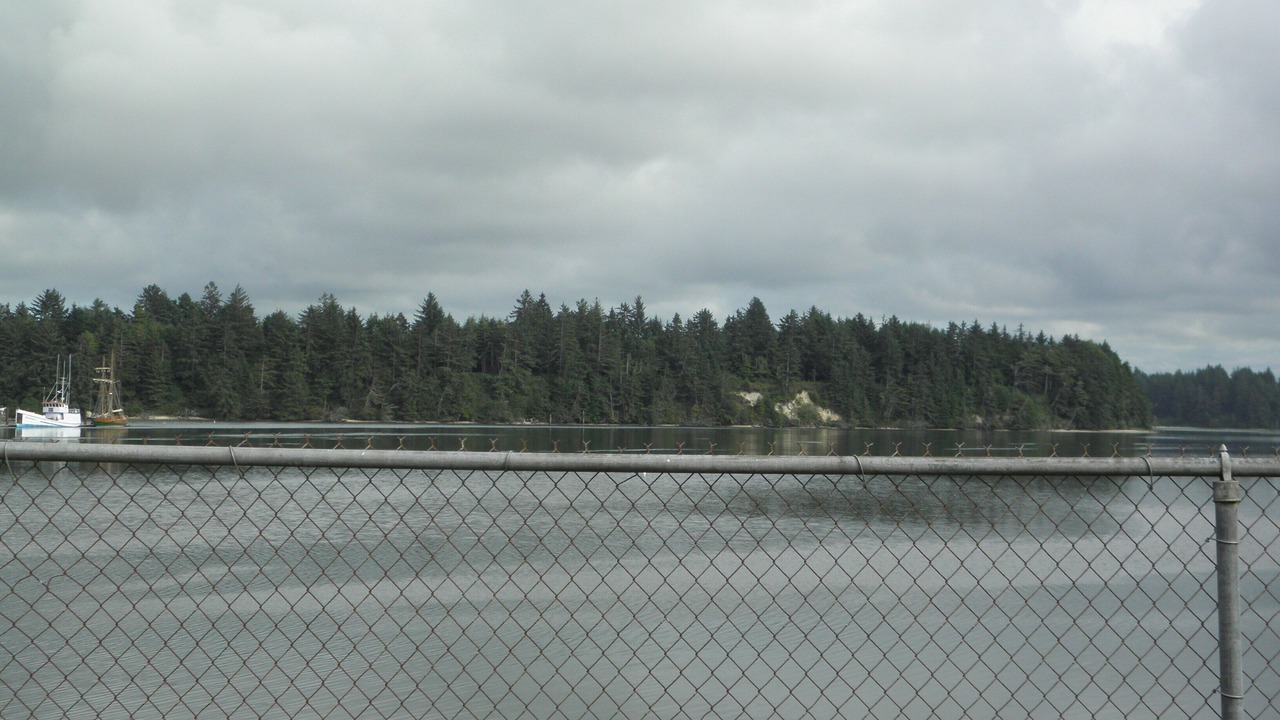 Photo of Others in Charleston