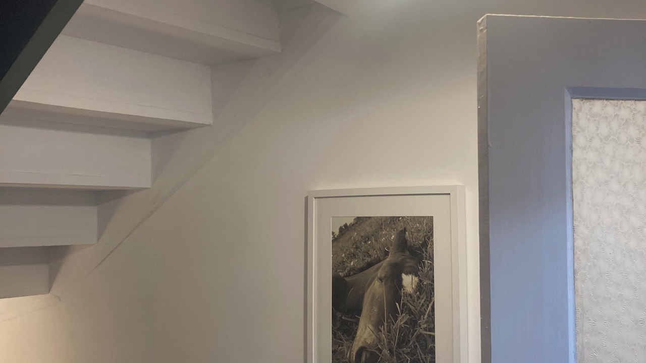 Photo of Others in Le Monteil