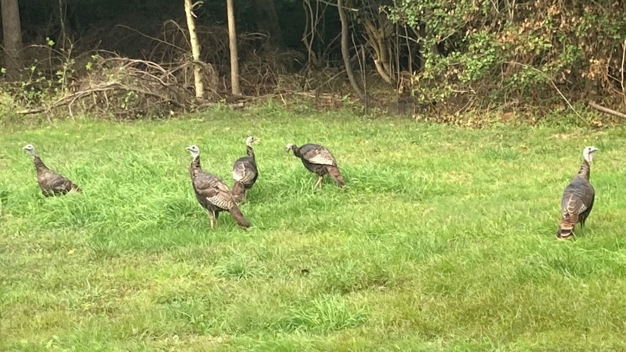 Photo of Others in Franklin