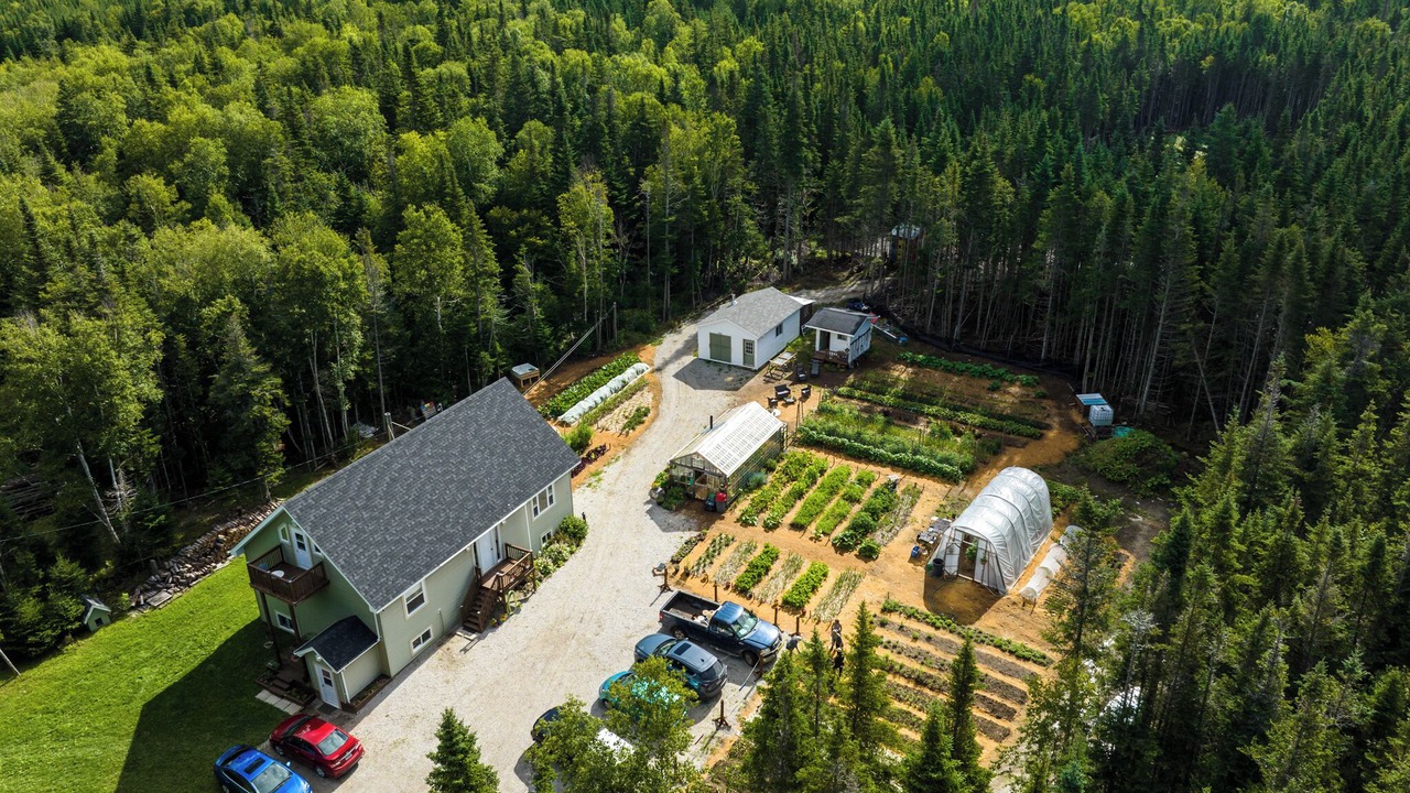 Photo of Outdoor in Cormack