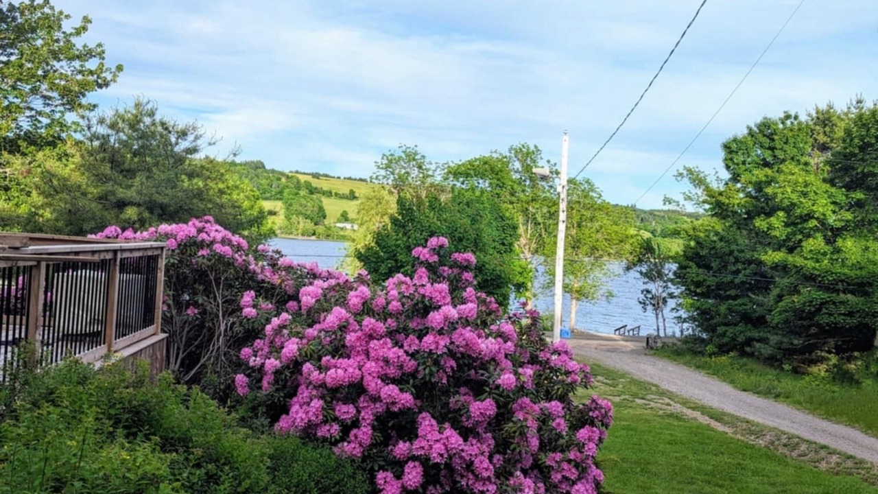 Photo of Outdoor in Antigonish County