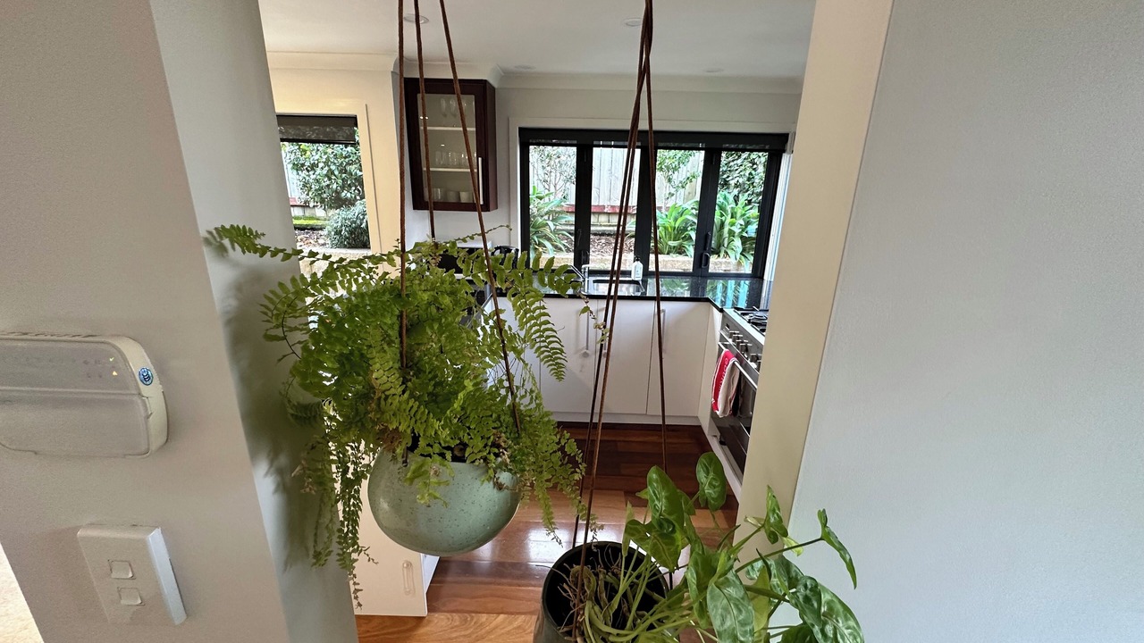 Photo of Others in Petone