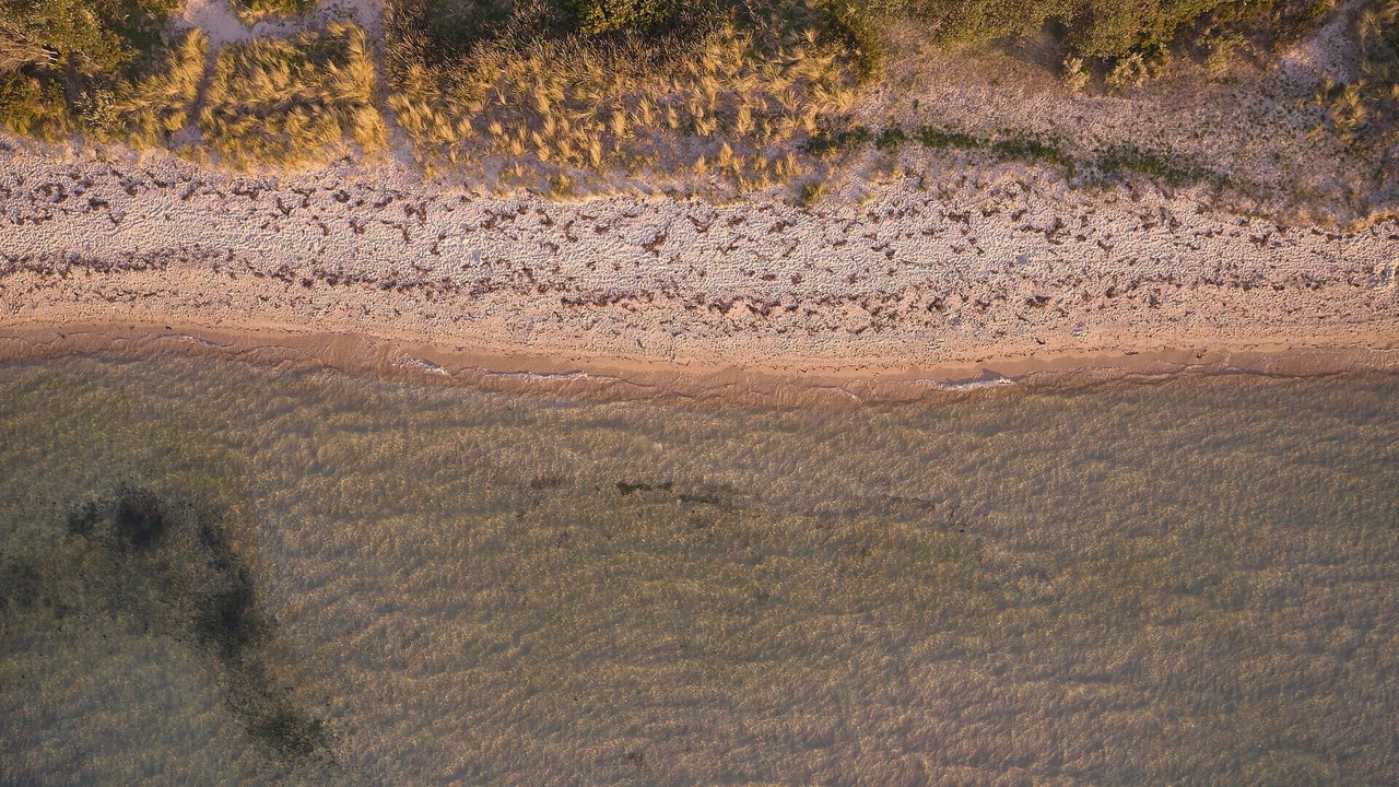 Photo of Others in Tootgarook