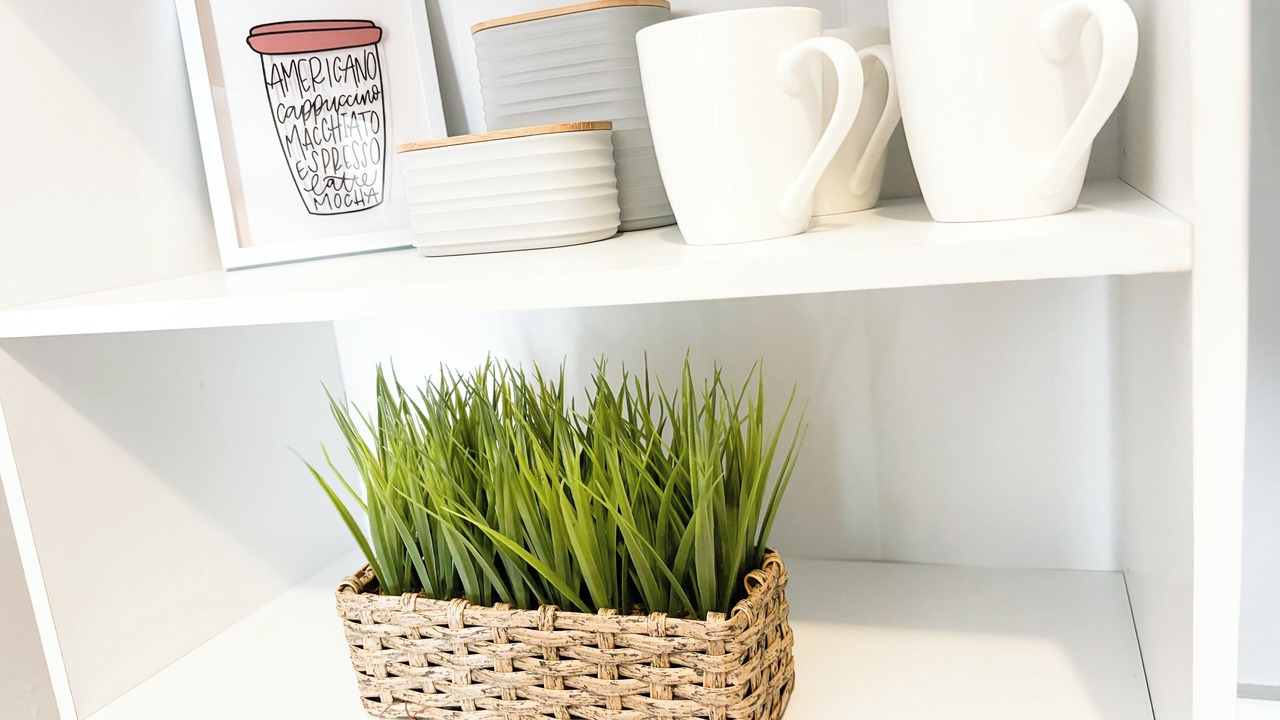 Photo of Others in Piqua