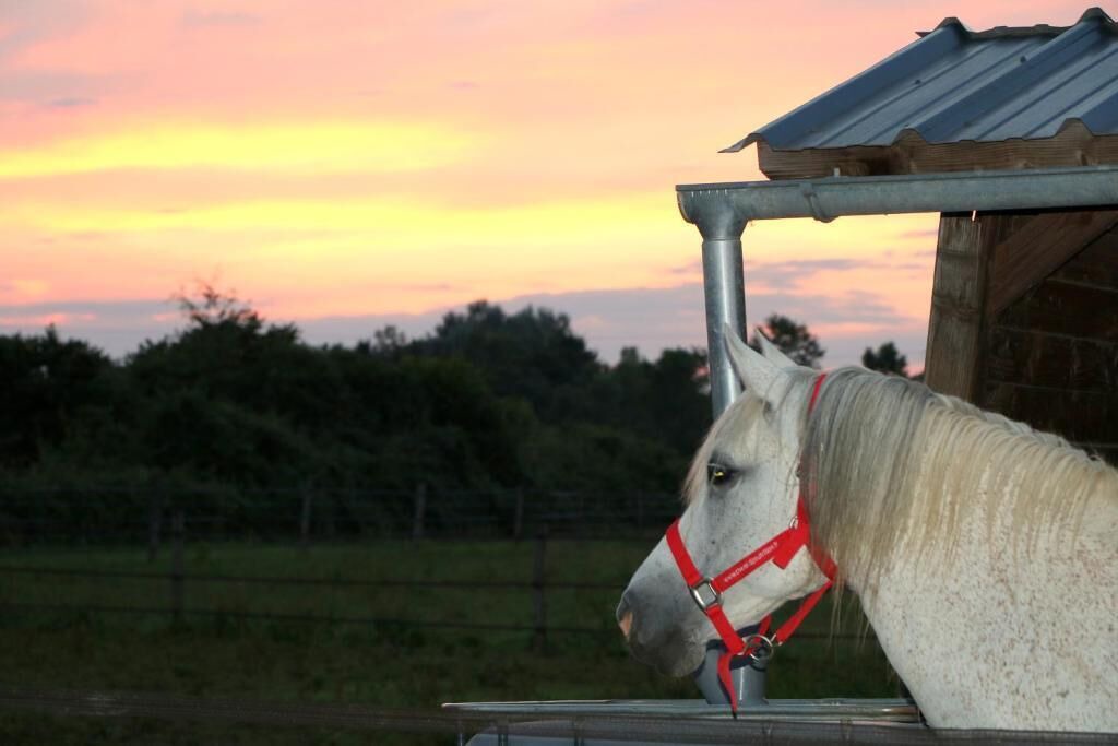 Photo of Others in Carresse-Cassaber