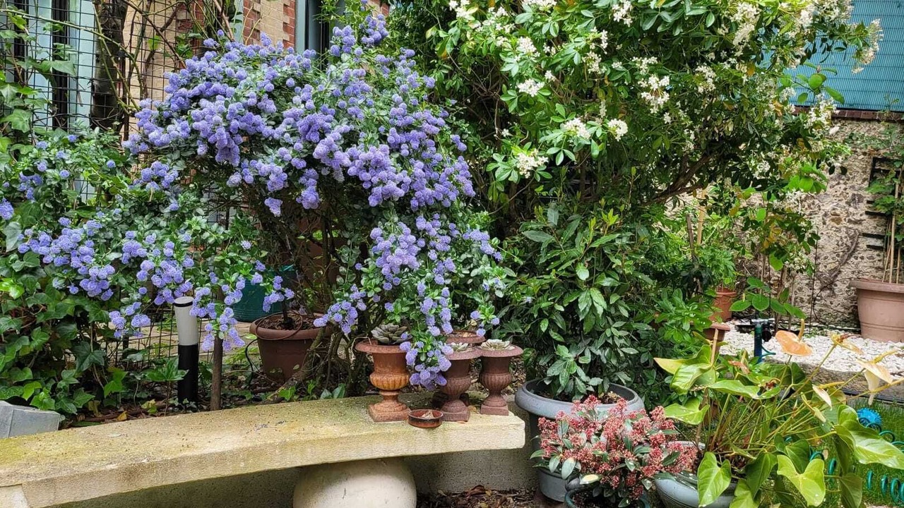 Photo of Outdoor in Saint-Cloud